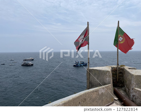 berlenga, Nature, Seagull 127822814