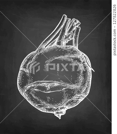 Kohlrabi chalk sketch 127822826