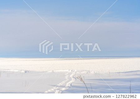 Snow fields and drift ice of Shiretoko 127822962