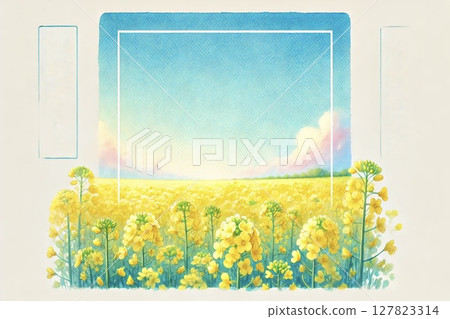 油菜田 127823314