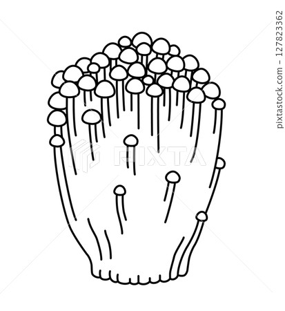 Enoki mushroom icon 127823362