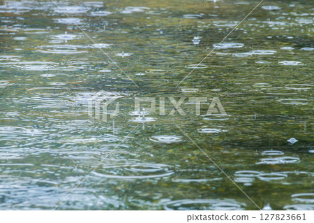 Rainy season: Rain falls on the surface of the river 11 Rainy season: Rain falls on the surface of the river 11 127823661