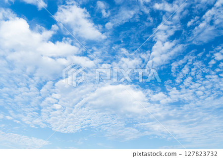 六月的天空：清晨藍天中的白雲 06 127823732