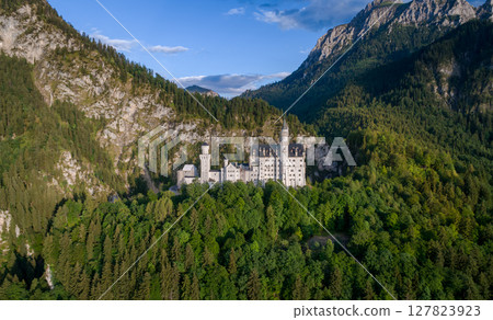 Neuschwanstein Castle Bavarian Alps Germany 127823923