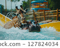 Funny giraffe and hippo sliding together down a water slide in a colorful water park, joyful surreal scene. 127824034