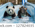 Cute panda and monkey sliding down a water slide together, playful moment in a fun park. 127824035