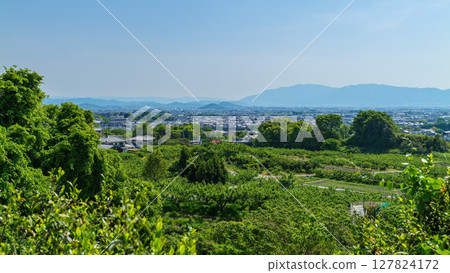 山邊路線:從西山塚古墳到大和三山、金剛山、葛城山 2025年5月3日 山邊路線:從西山塚古墳到大和三山、金剛山、葛城山 2025年5月3日 127824172