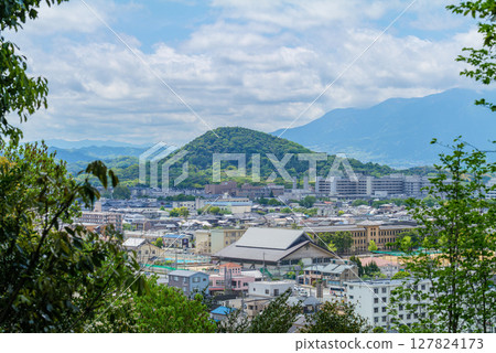 Wisteria blossoms bloom on Mount Unebi from Mount Miminari, one of the three mountains of Yamato. April 24, 2025 127824173
