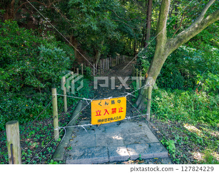 松戶市博物館進行燻蒸作業期間，「21世紀森林與廣場」散步道上的路障禁止通行 127824229