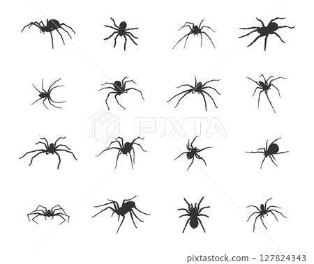 Spider silhouette, Spider SVG, Spider vector icon. 127824343