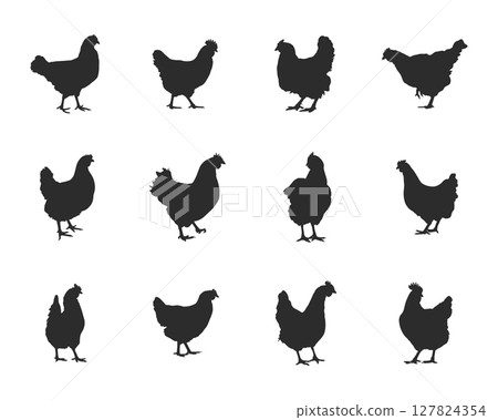 Chicken hen silhouette, Hen chicken silhouette set, Chicken silhouettes 127824354