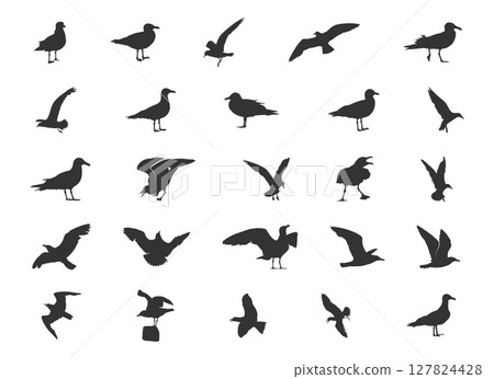Seagull silhouettes, Flying seagull silhouette, Seagull vector, Seagull svg, Bird icon, Bird silhouettes 127824428