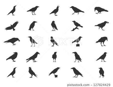 Carrion Crow Silhouettes, Carrion Crow Flying Silhouette, Crow Silhouettes, Carrion Crow Svg, Carrion Crow Vector Set 127824429