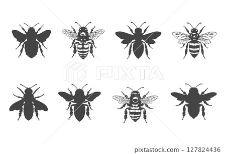 Honey bee svg, Honey bee vector, Honey bee silhouette, Honeybee silhouette, Bee svg, Bee silhouette, Flying bee silhouette, Honey bee icon, Bee vector illustration. Honey bee svg, Honey bee vector, Honey bee silhouette, Honeybee silhouette, Bee svg, Bee silhouette, Flying bee silhouette, Honey bee icon, Bee vector illustration. 127824436