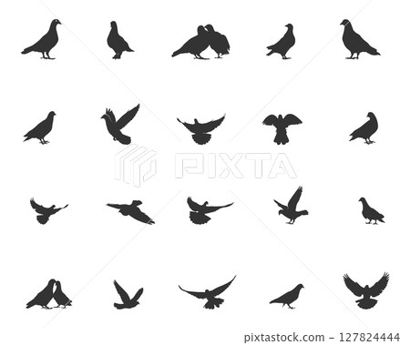 Pigeon silhouette, Pigeon SVG, Pigeon vector illustration, Pigeon bird silhouette Pigeon silhouette, Pigeon SVG, Pigeon vector illustration, Pigeon bird silhouette 127824444