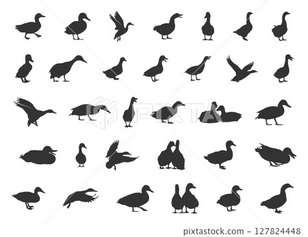 Duck silhouettes, Mallard duck silhouette, Mallard silhouette, Mallard svg, Flying duck silhouette, Duck hunting silhouette,Duck icon, Duck vector illustration. 127824448