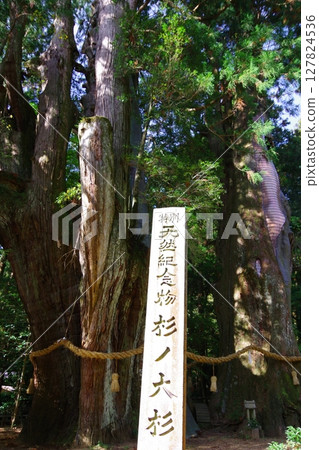 高知縣大豆町的Oosugi 127824536