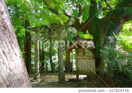 高知縣大豐町八坂神社鳥居 127824538