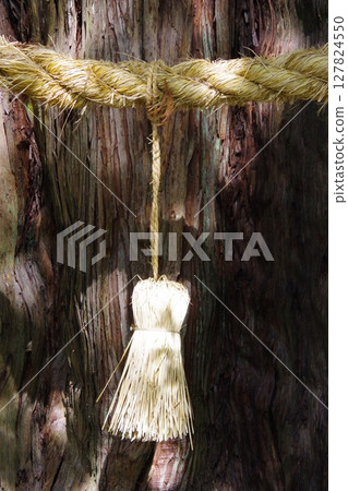 Shimenawa Shichigosan rope Shimenawa Shichigosan rope 127824550