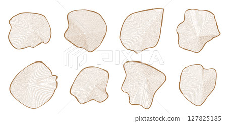 Eight brown graphic outline wavy concentric tree rings of wooden cuts on white 127825185
