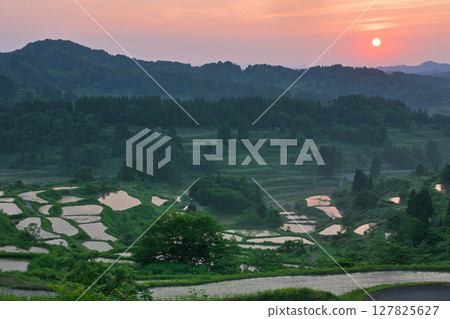 Rice paddy of Star Pass 127825627