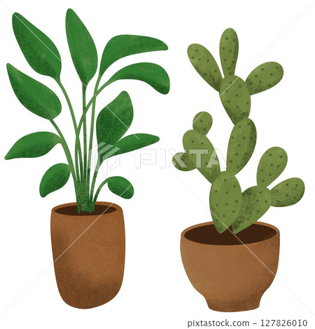 Hand drawn illustration elements of house plant cactus leaf tree ficus. Pot beige terra cotta clay potted for urban jungle nature lovers indoor houseplants. Simple green elegant drawing. 127826010