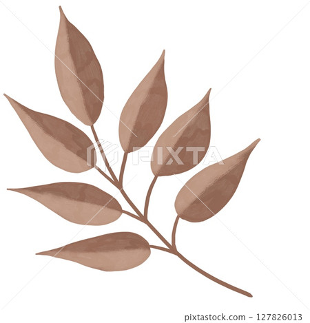 Hand drawn illustration of mocha mousse beige brown leaf leaves branch in line outline. Minimalist floral garden design, bloom for cards invitations, elegant foliage plant nature concept, autumn. 127826013