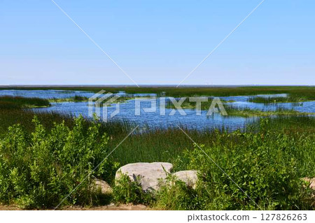 The Serene Wetland Landscape features Lush Greenery, Calm Waters, and Peaceful Nature The Serene Wetland Landscape features Lush Greenery, Calm Waters, and Peaceful Nature 127826263