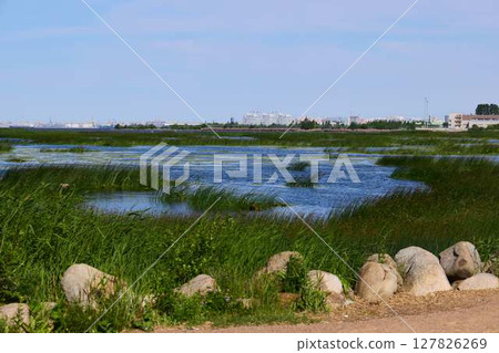 Tranquil Wetlands adorned with Lush Greenery and Serene Blue Waters inviting calmness 127826269