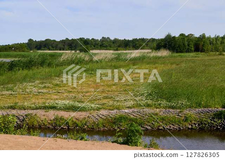 A Beautiful Lush Green Landscape with Waterway Flowing Through Colorful Wildflowers 127826305
