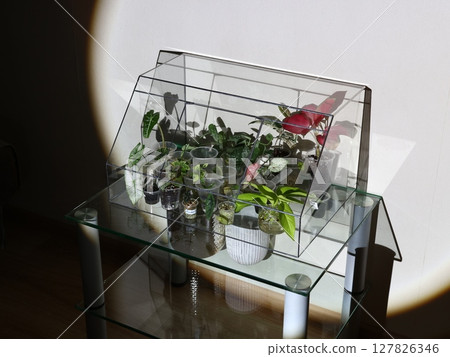 This is an Indoor Plant Terrarium Display, perfect for enhancing your Home Decor with style This is an Indoor Plant Terrarium Display, perfect for enhancing your Home Decor with style 127826346