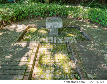 A drinking fountain in the shade of a tree in a park (21st Century Forest and Square, Matsudo City, Chiba Prefecture) A drinking fountain in the shade of a tree in a park (21st Century Forest and Square, Matsudo City, Chiba Prefecture) 127826421