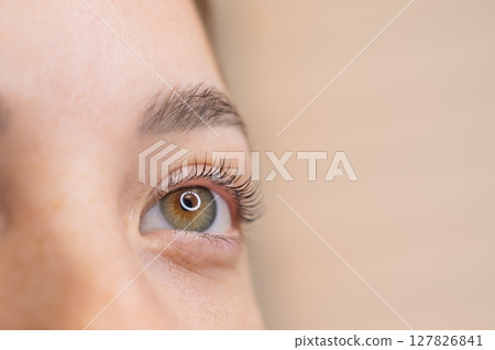 Close-up of a woman's eye after eyelash lamination procedure.  127826841