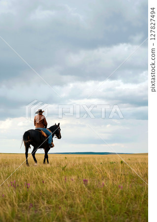 Cowboy on Horseback Riding Through Tall Grass Under Cloudy Sky in Open Field 127827494