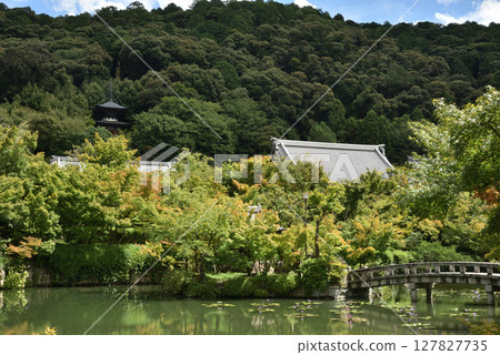 永觀堂禪林寺的夏天:從北條池眺望(京都市左京區) 永觀堂禪林寺的夏天:從北條池眺望(京都市左京區) 127827735