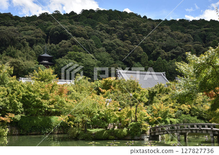 永觀堂禪林寺的夏天:從北條池眺望(京都市左京區) 永觀堂禪林寺的夏天:從北條池眺望(京都市左京區) 127827736