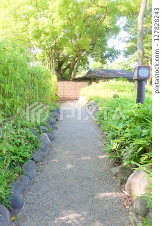 清澄庭園幽靜的竹林小路與日式燈飾 127828243