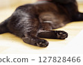 黑貓躺在地板上 127828466
