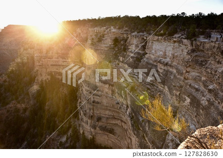 America · Grand Canyon 127828630