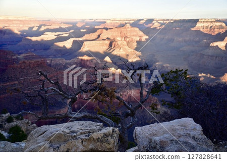 America · Grand Canyon 127828641