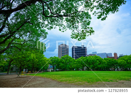 天神中央公園的嫩葉與新綠 127828935