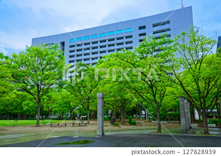 Tenjin Central Park and Fukuoka City Hall with young leaves and fresh greenery 127828939