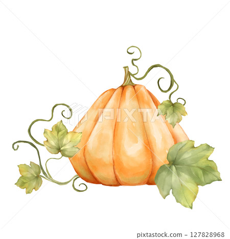 Hand-drawn Orange Pumpkin illustration with Leaves Hand-drawn Orange Pumpkin illustration with Leaves 127828968