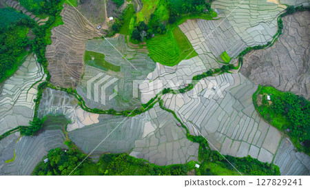 Aerial view of agricultural landscape of Thailand. Rice fields waiting to be cultivated in the countryside. Agriculture in the rainy season. Aerial view of agricultural landscape of Thailand. Rice fields waiting to be cultivated in the countryside. Agriculture in the rainy season. 127829241
