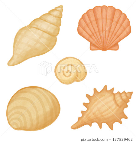 Seashell set watercolor Seashell set watercolor 127829462