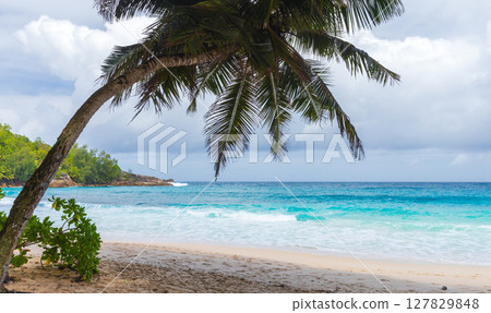 Mahe island, Seychelles. A serene tropical beach scene with a leaning palm tree Mahe island, Seychelles. A serene tropical beach scene with a leaning palm tree 127829848
