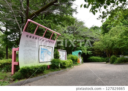 神奈川縣相模原麻溝公園綜合導覽圖、散步道和新綠 神奈川縣相模原麻溝公園綜合導覽圖、散步道和新綠 127829865