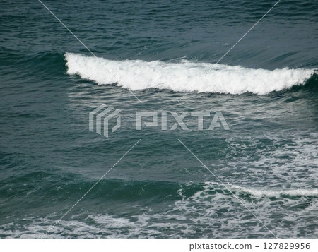 [鳥取縣] 從鳥取沙丘眺望的海景（鳥取市） 127829956