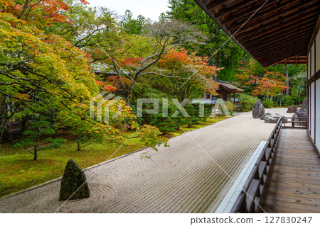 高野山:金剛峰寺磐龍庭園的秋天 高野山:金剛峰寺磐龍庭園的秋天 127830247