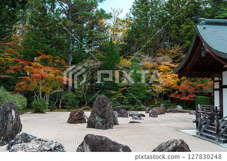 高野山:金剛峰寺磐龍庭園的秋天 高野山:金剛峰寺磐龍庭園的秋天 127830248